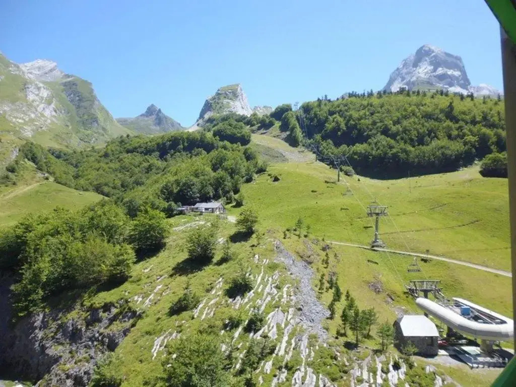 Appartement Gourette, 1 pièce, 4 personnes - FR-1-400-2