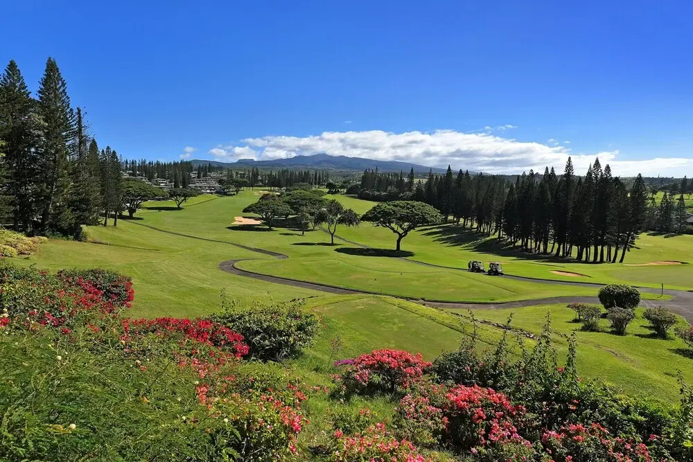 Kapalua Golf S 20p3&4 2 Bedroom Condo
