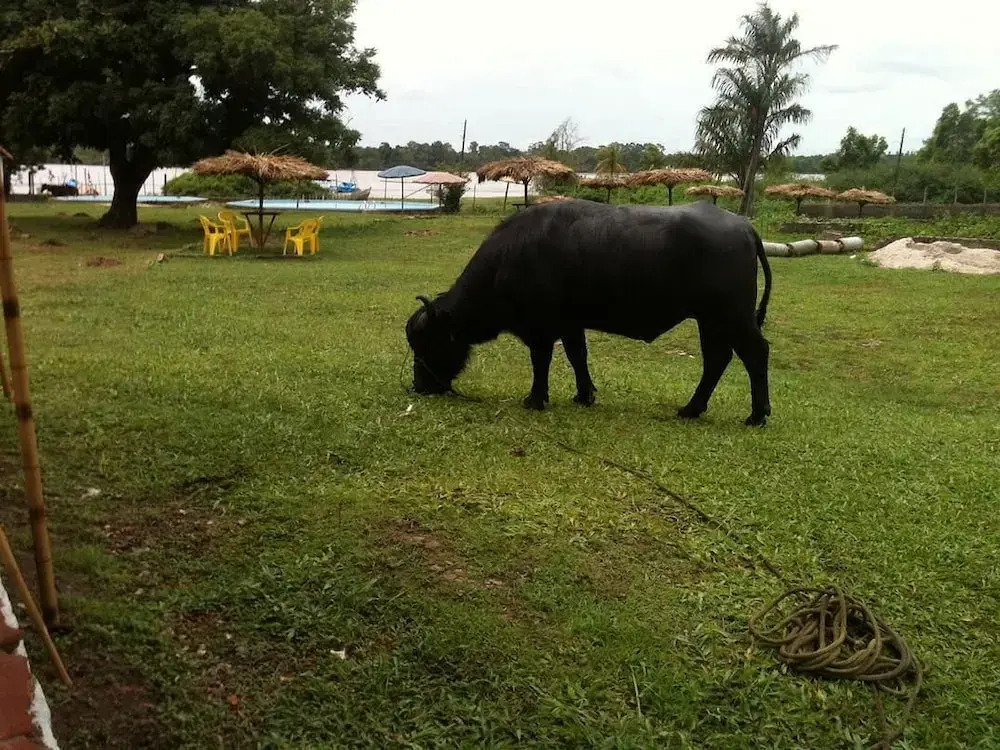 Pousada Marajoara- Hotel Fazenda-Turismo de Aventura