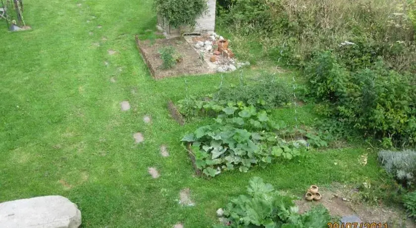 Les Herbes Folles