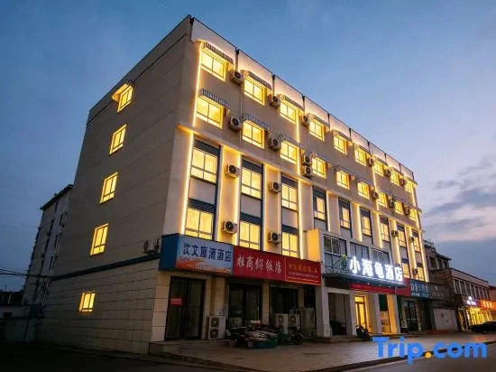 Turtle’s Hotel