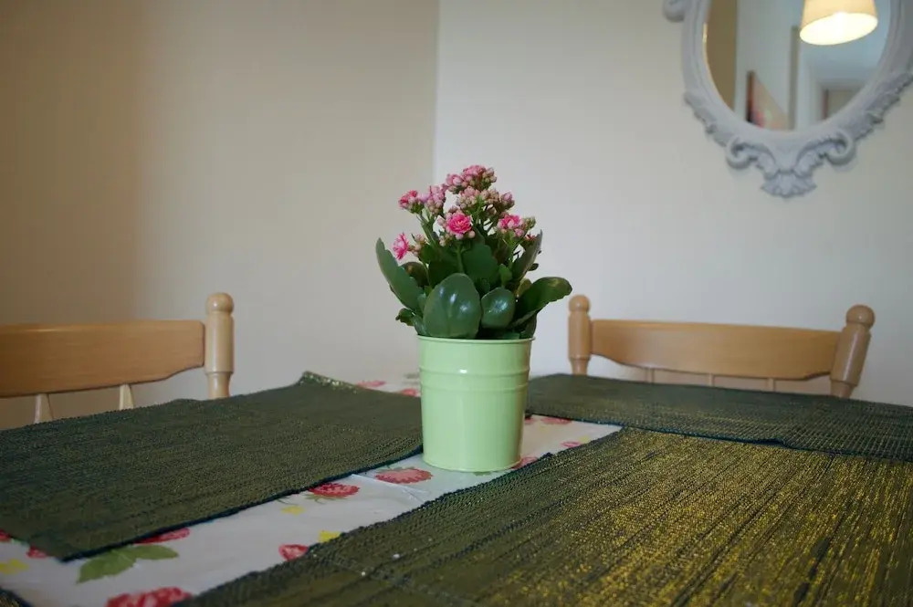 1 Bedroom Flat 15 Minutes From Edinburgh City Centre