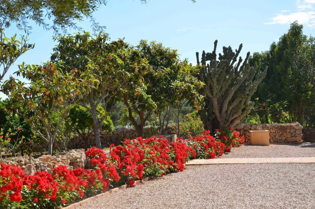 Finca Son Blat