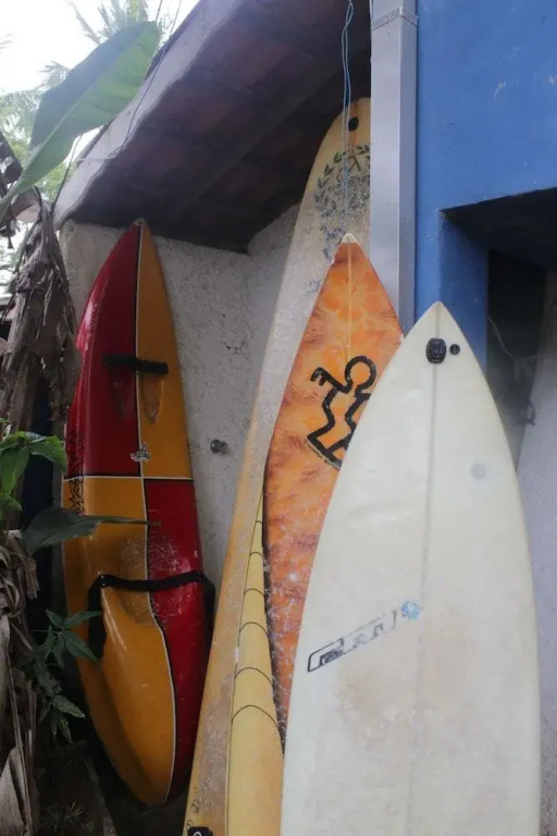 Golfinho Tropical Hostel e Pousada