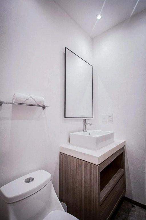 Queen Studio PDC Oasis Pool Rooftop Lounge Walk to 5 Avenida Best Playa Beaches