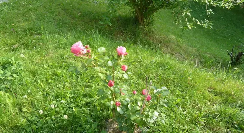 The Conscious Farmer Bed and Breakfast Sauerland