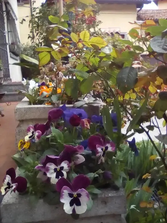 "La Taverna" B&B