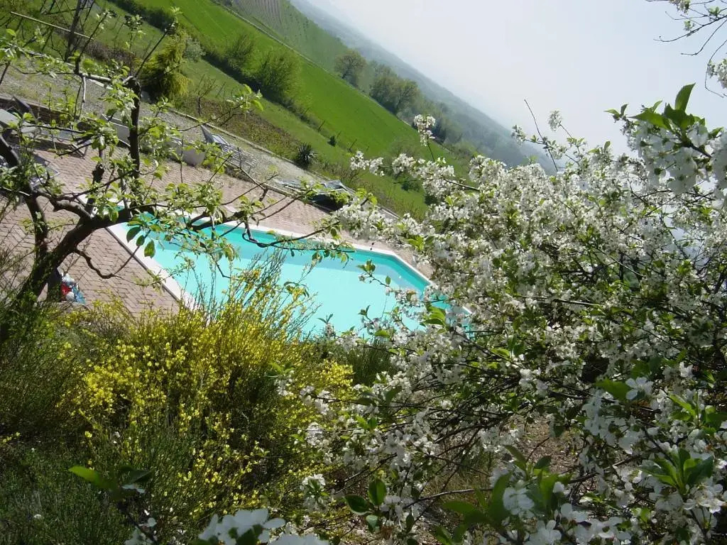 B&B di Spineto