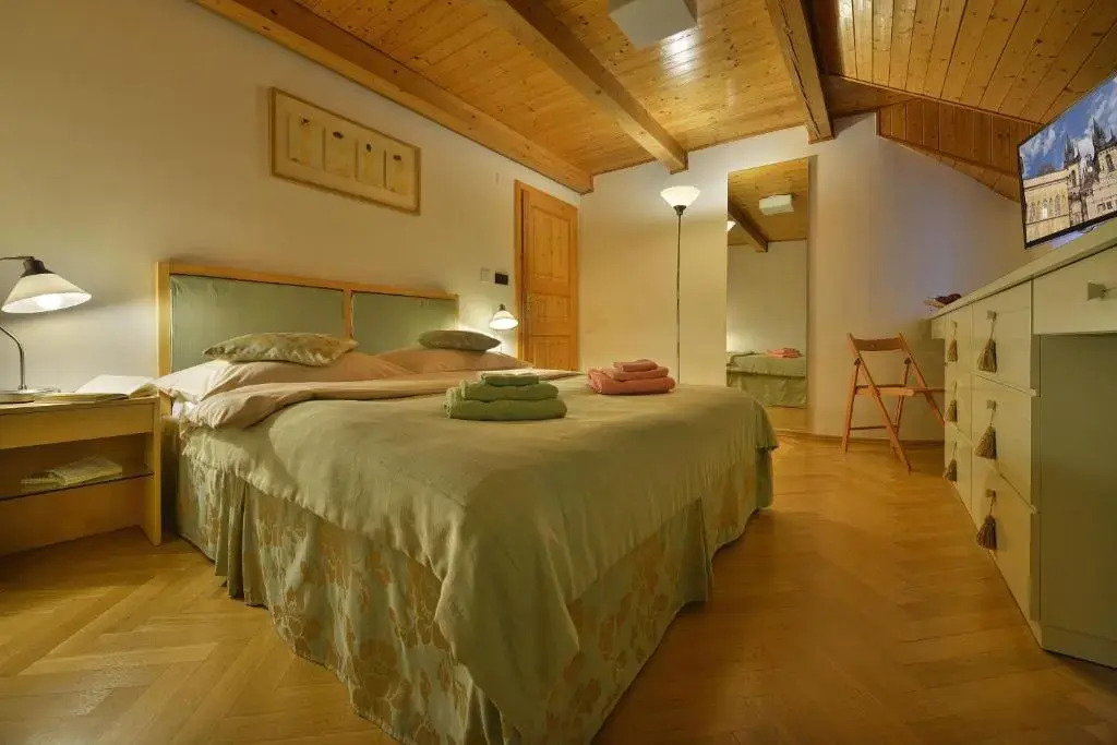 Old Town Apartments Tyn
