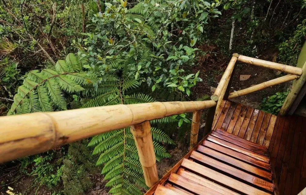 Salvaje Glamping