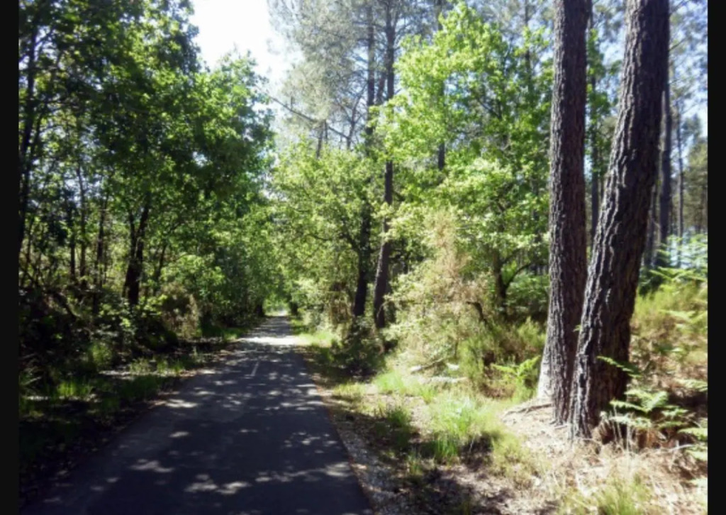 Location Fantaisie Ondres