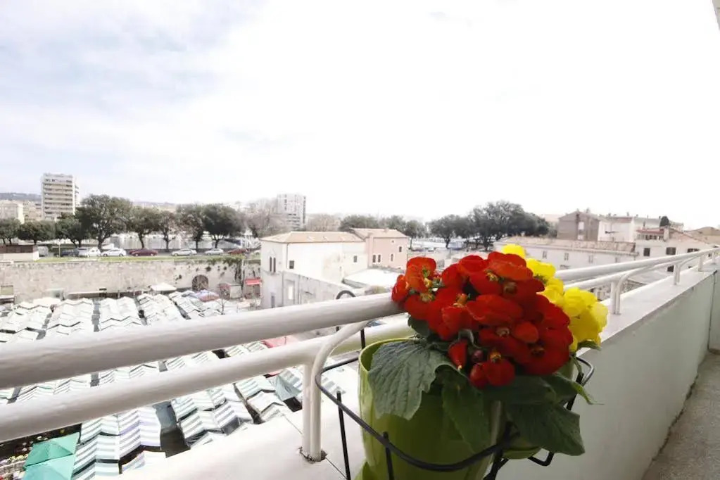 City Center Accommodation