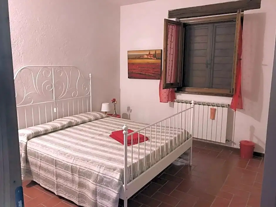 B&B Belvedere