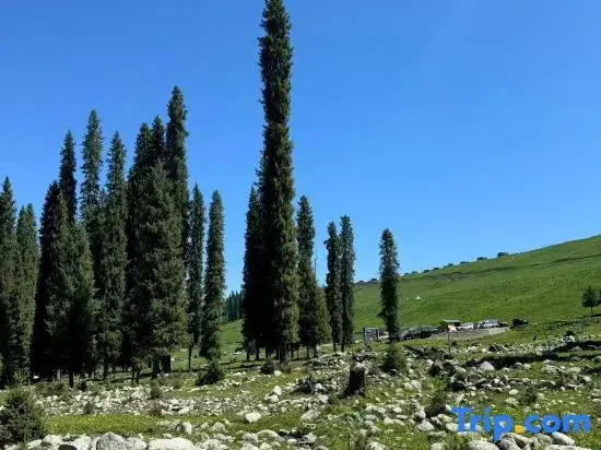 Nalati Shuimu Shangshan Jingyue Yuntang Meisu.