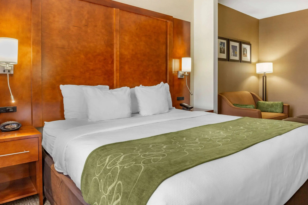 Comfort Suites Dover University Area