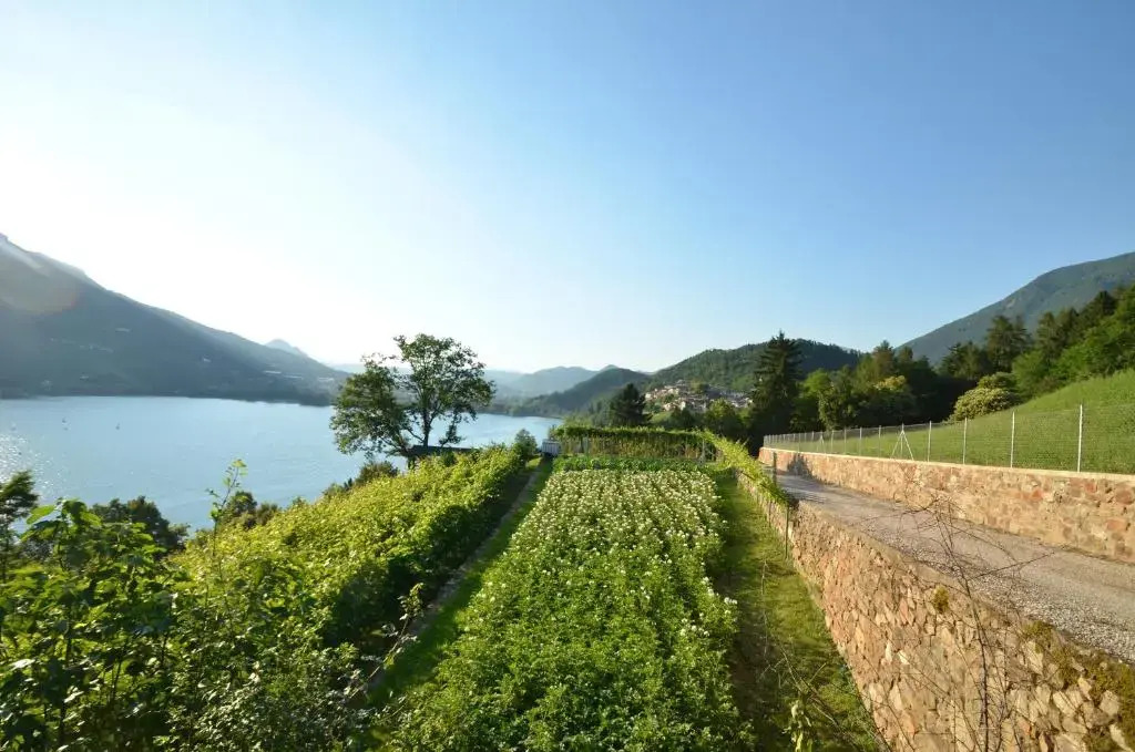 Trentino Appartamenti Oss