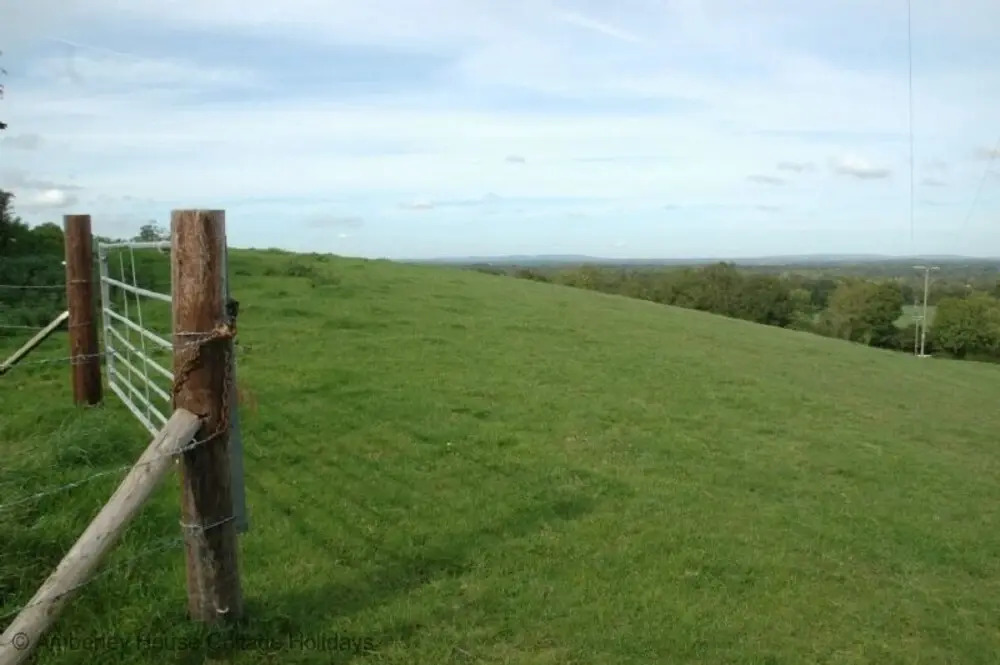 The Bull's Box