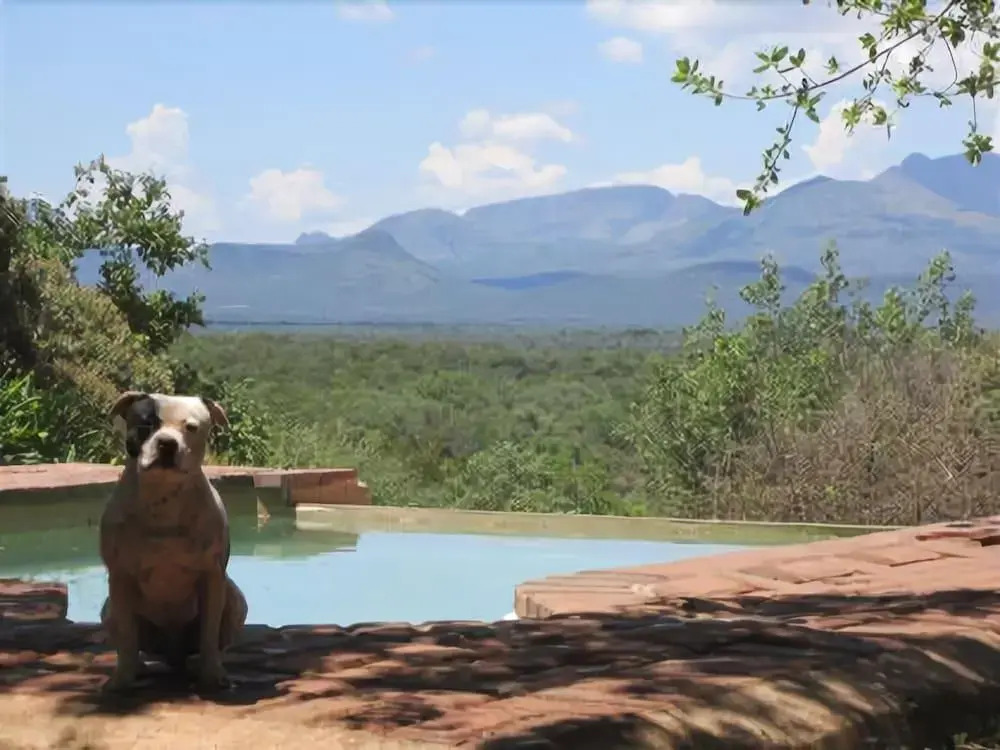 Marula Cottage Guest Lodge