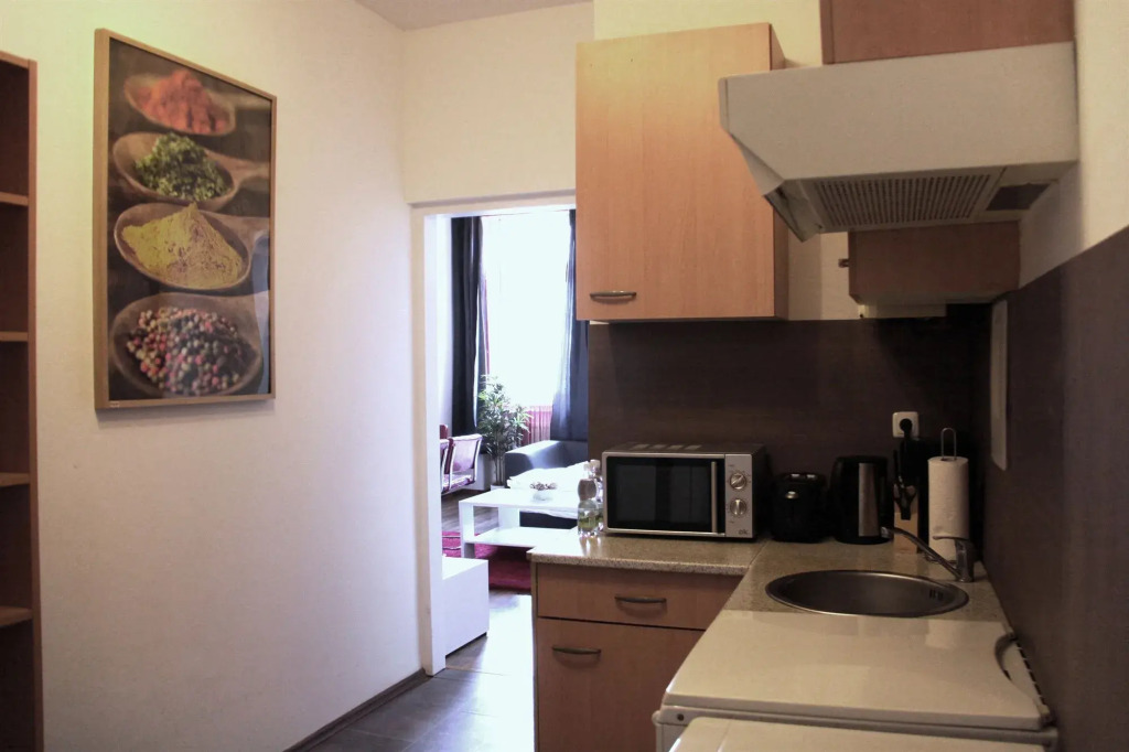 CheckVienna – Apartment Davidgasse