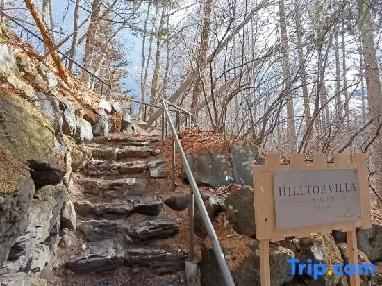 Hilltop Villa Karuizawa - Peaceful Hilltop Forest Retreat with Mountain View