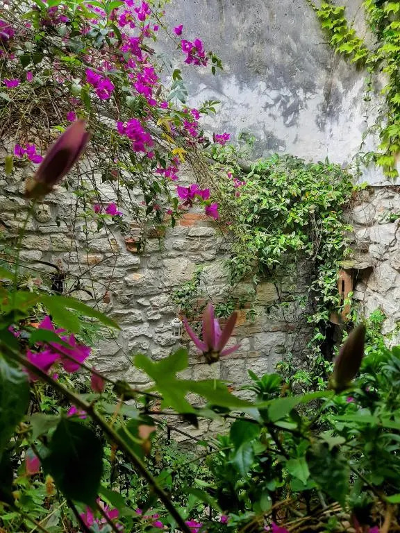 Grisia 26 Apartment