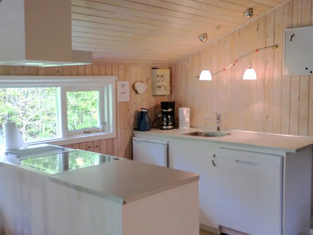 6 Person Holiday Home in Fjerritslev