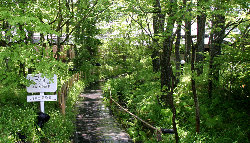Yufuin Tamanoyu
