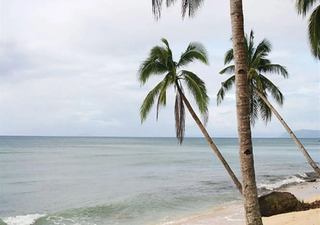 Tarzans Beach Resort