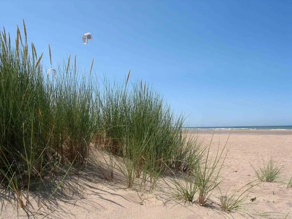 Hotel Club Bon Sejour La Plage