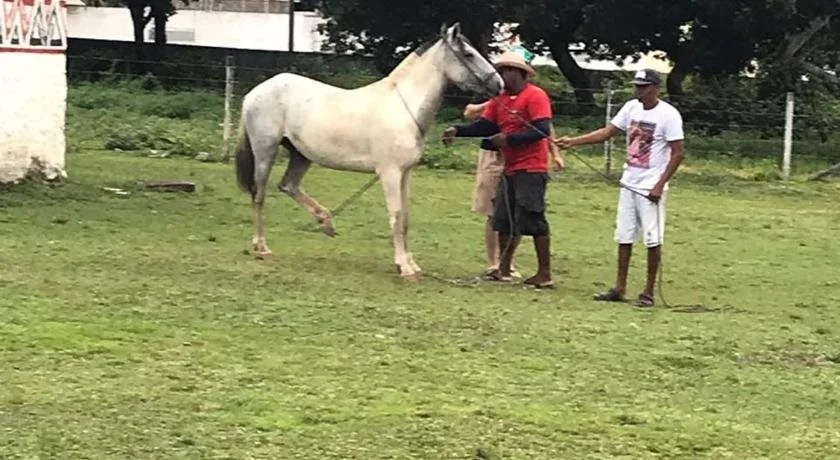 Pousada Marajoara- Hotel Fazenda-Turismo de Aventura