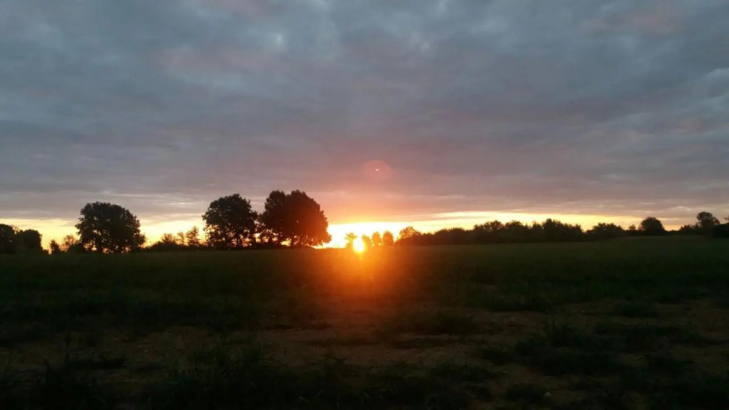 Cascina Bucolica B&B