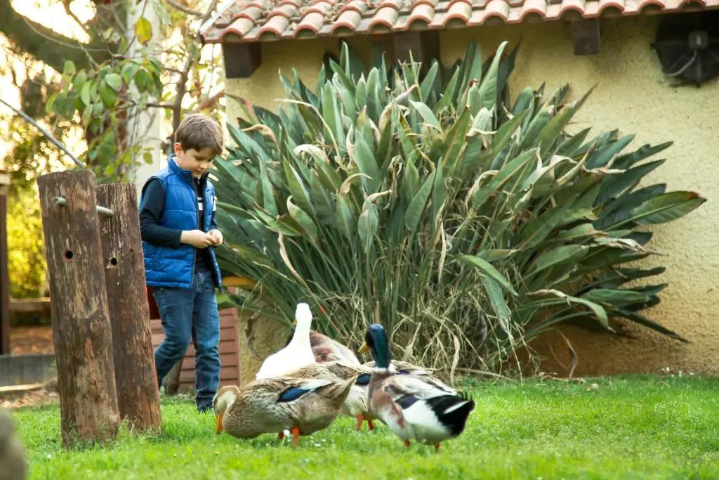 Azienda Agrituristica Il Pago