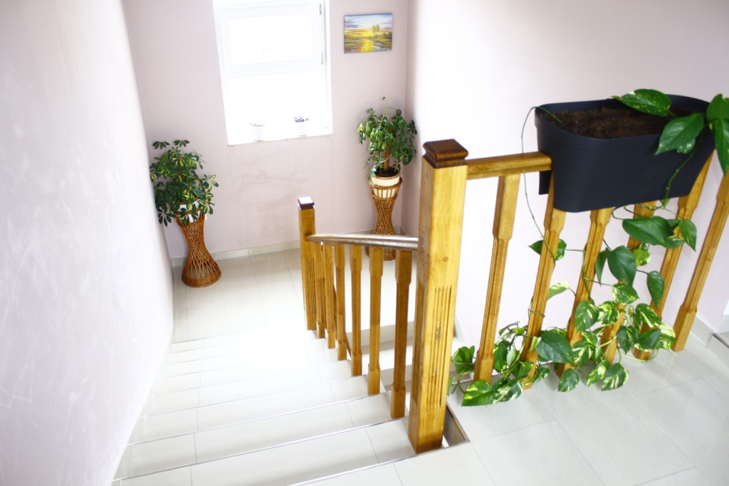 Studio apartment Old Stone: SA1 Sukosan, Zadar riviera
