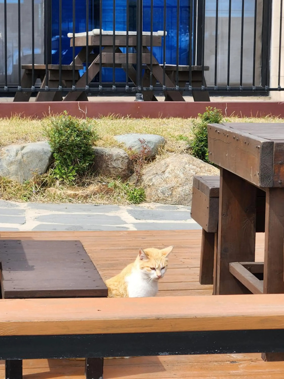 Seolli Resort Pension