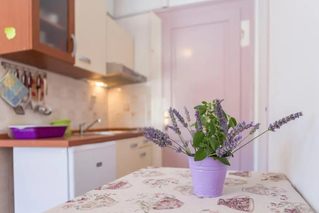 Apartment Riva 5