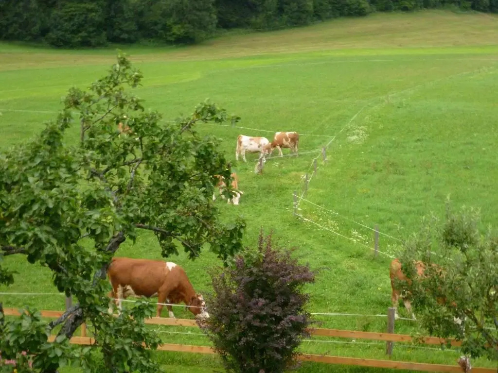 Schmiedbauernhof