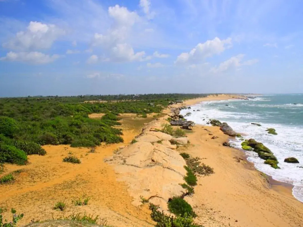 Cinnamon Wild Yala