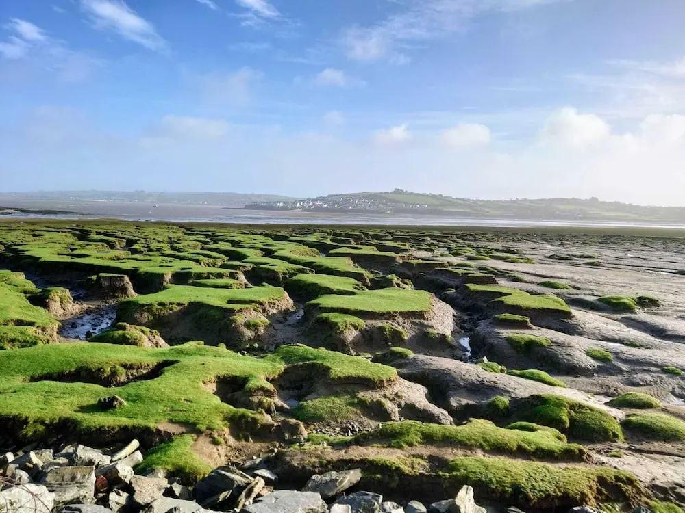 Appledore Home With Panoramic Estuary View