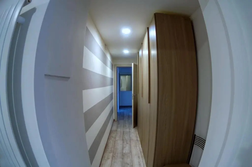 Suite Eleven