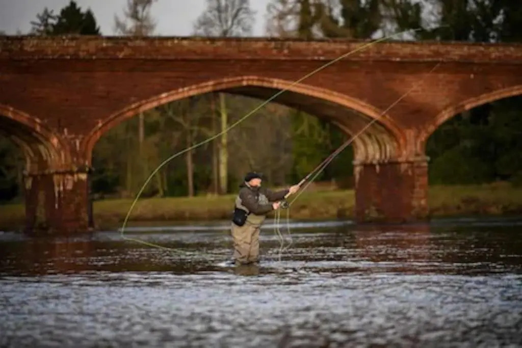 Pinewood Cotage - Country Walks and Relaxation