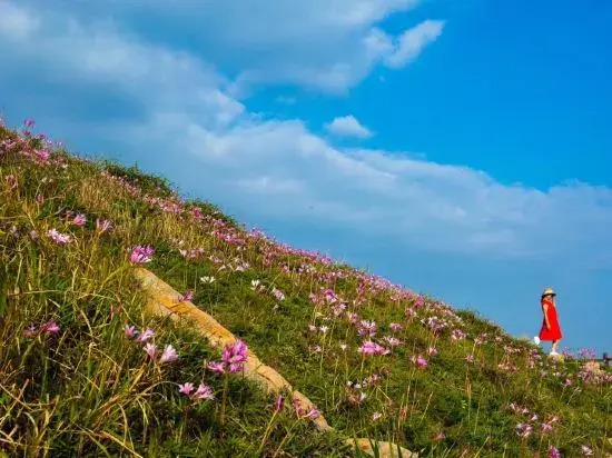 Shengshan Island Lejia Hostel