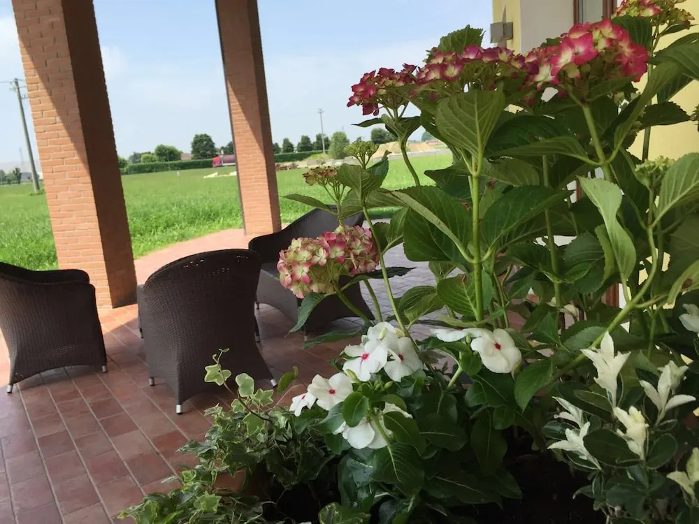 Agriturismo Ceppo