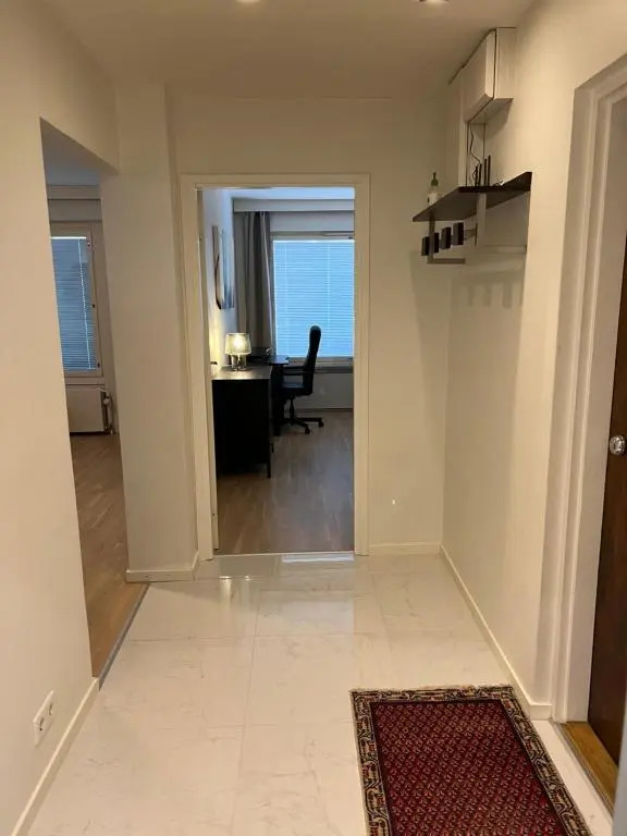 Modern 45m^2 Ullanlinna apartment