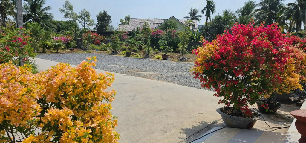 Nhà nghỉ Trúc Mây