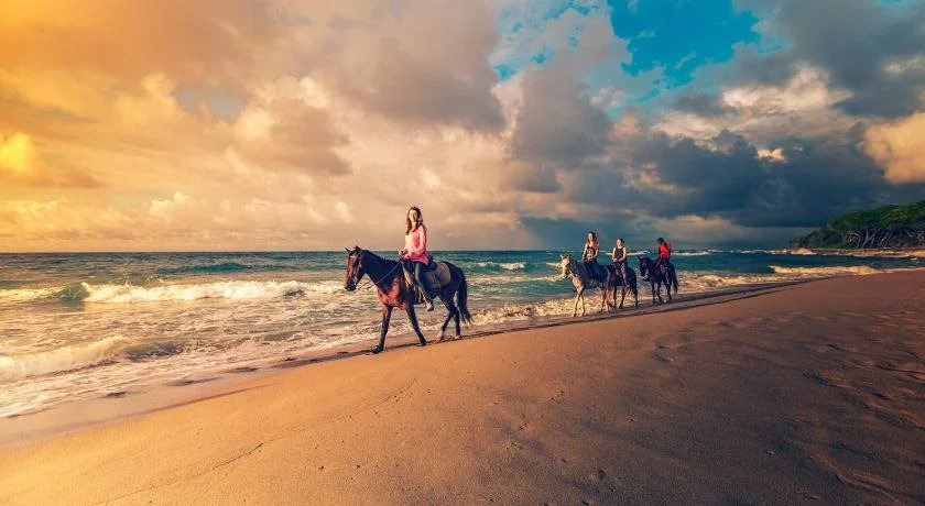 El Encuentro Surf Lodge