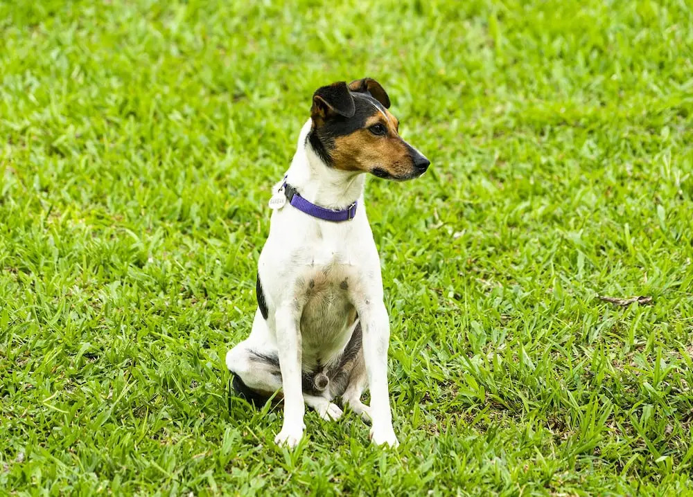 Aldea Sabatinga