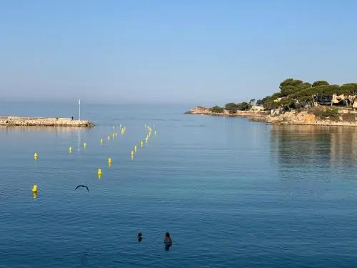 L'excelsior