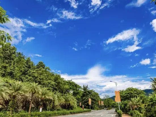Xishuangbanna Jinghong Bufan Zhan Rainforest Resort Hotel