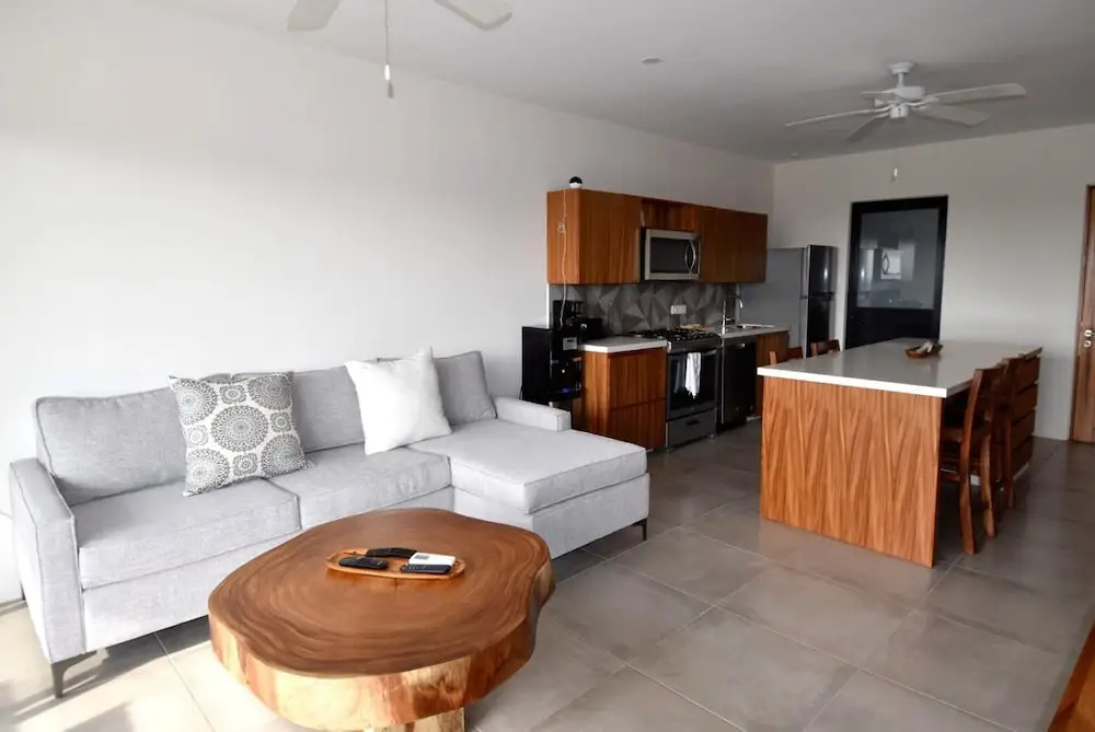 Agaves 203