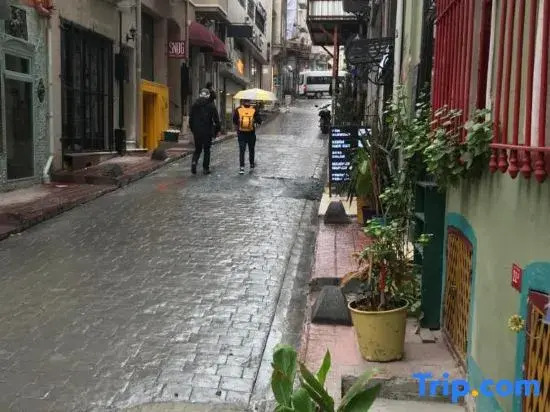 Ganbaru Tours - Flats in Galata
